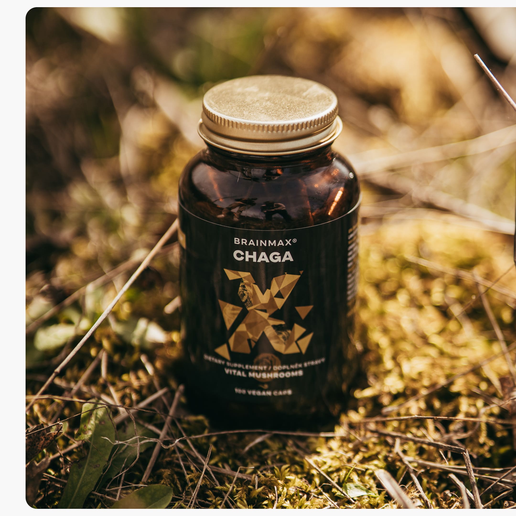 produkt chaga5-min